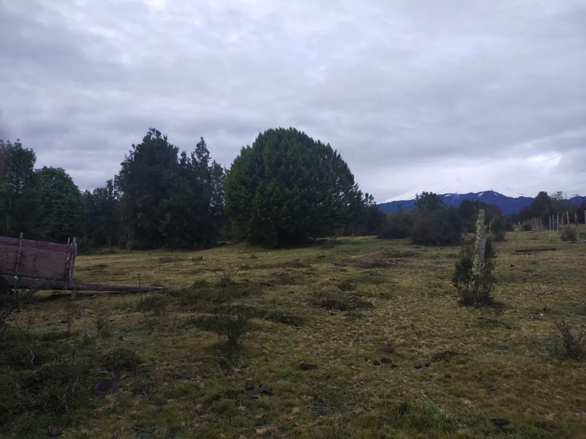 Terreno De 3 Hectáreas 05