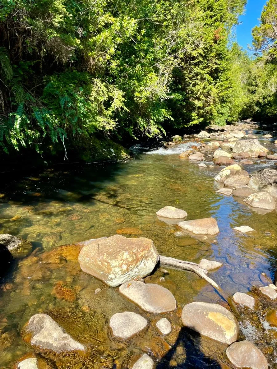 Terreno De 3 Hectáreas 07