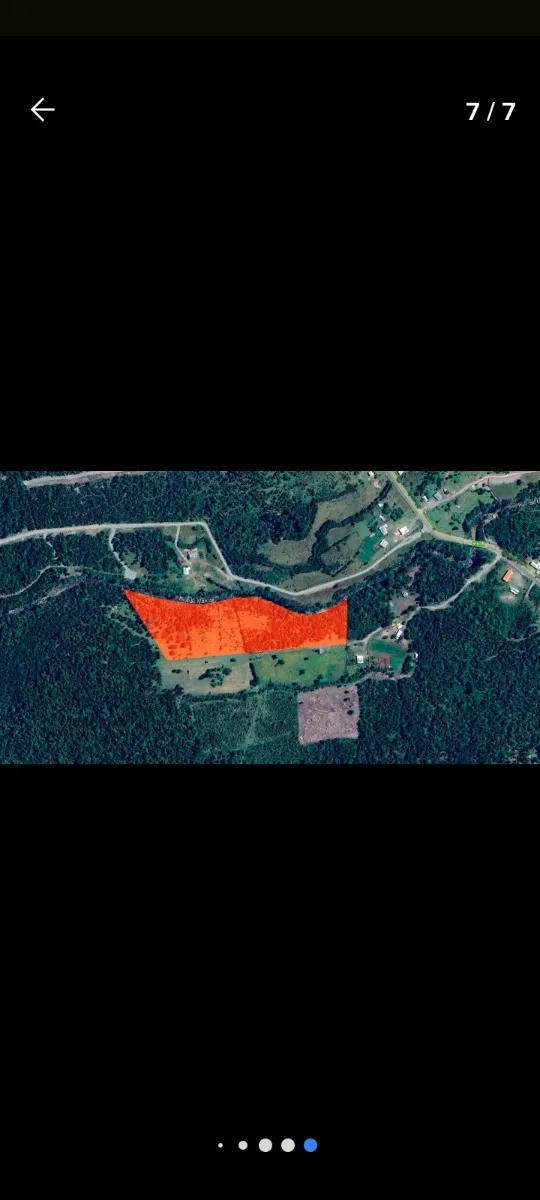 Terreno De 3 Hectáreas 08