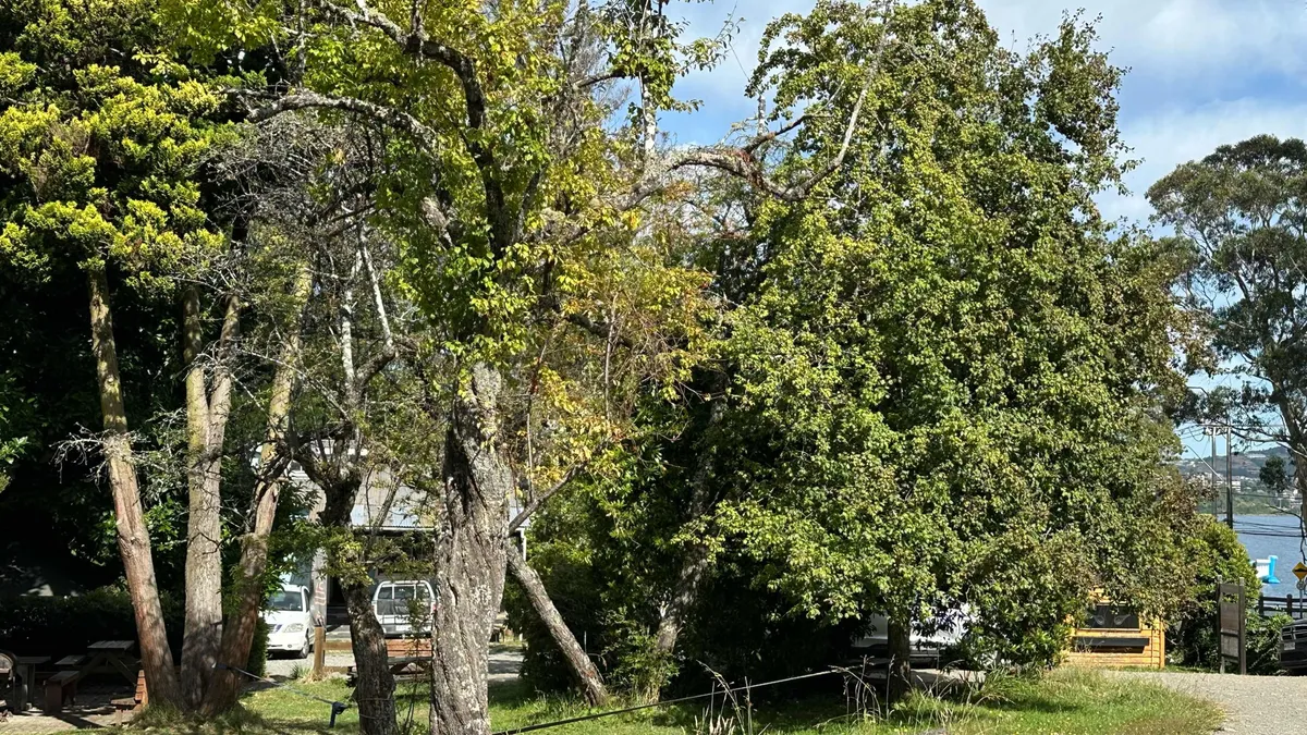 Terreno-urbano-en-arriendo-excelente-ubicacion-puerto-varas-03