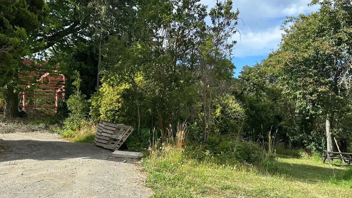 Terreno-urbano-en-arriendo-excelente-ubicacion-puerto-varas-04