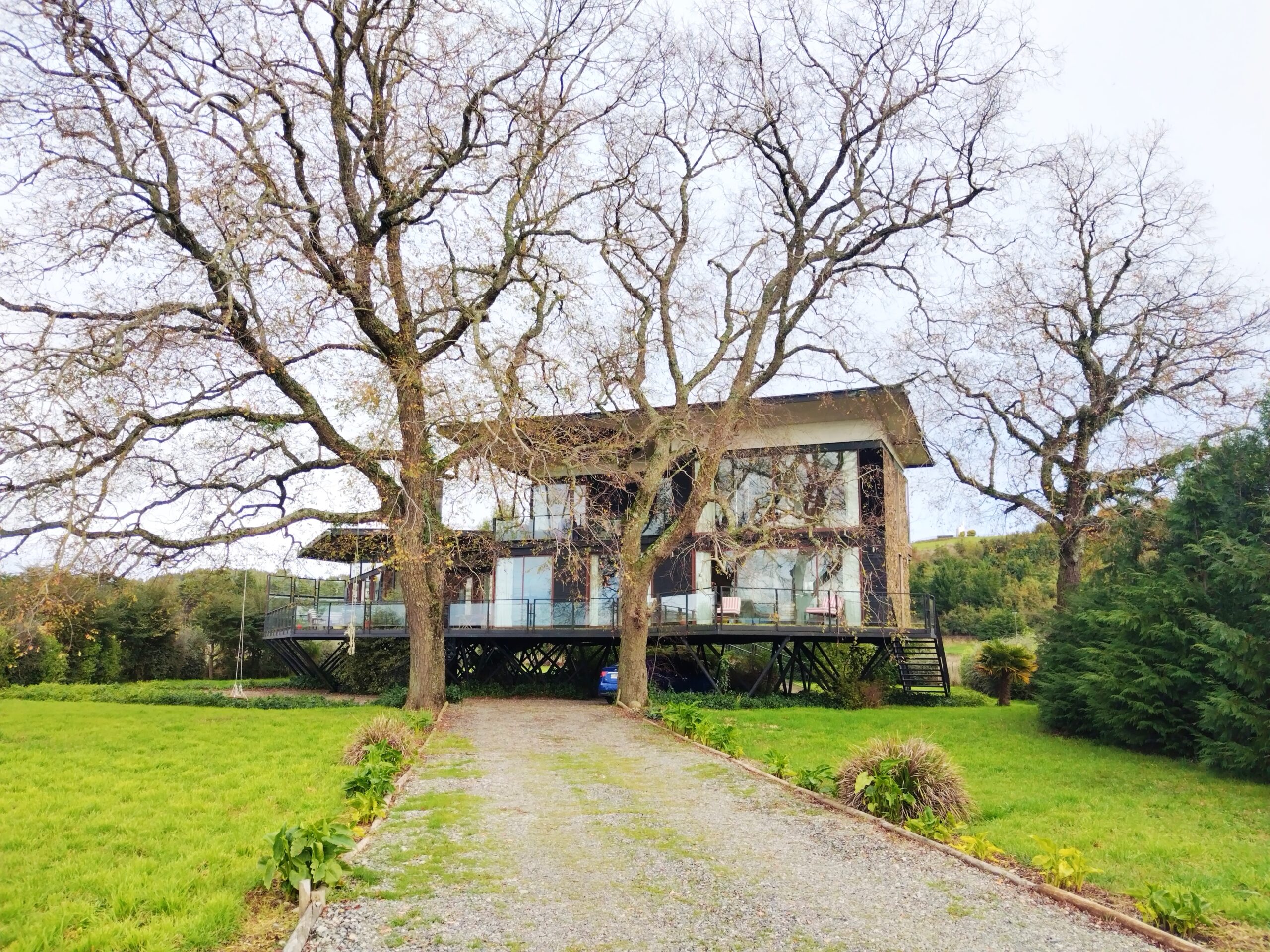 IMG_20240706_125147_edit_504838814428875 (1)