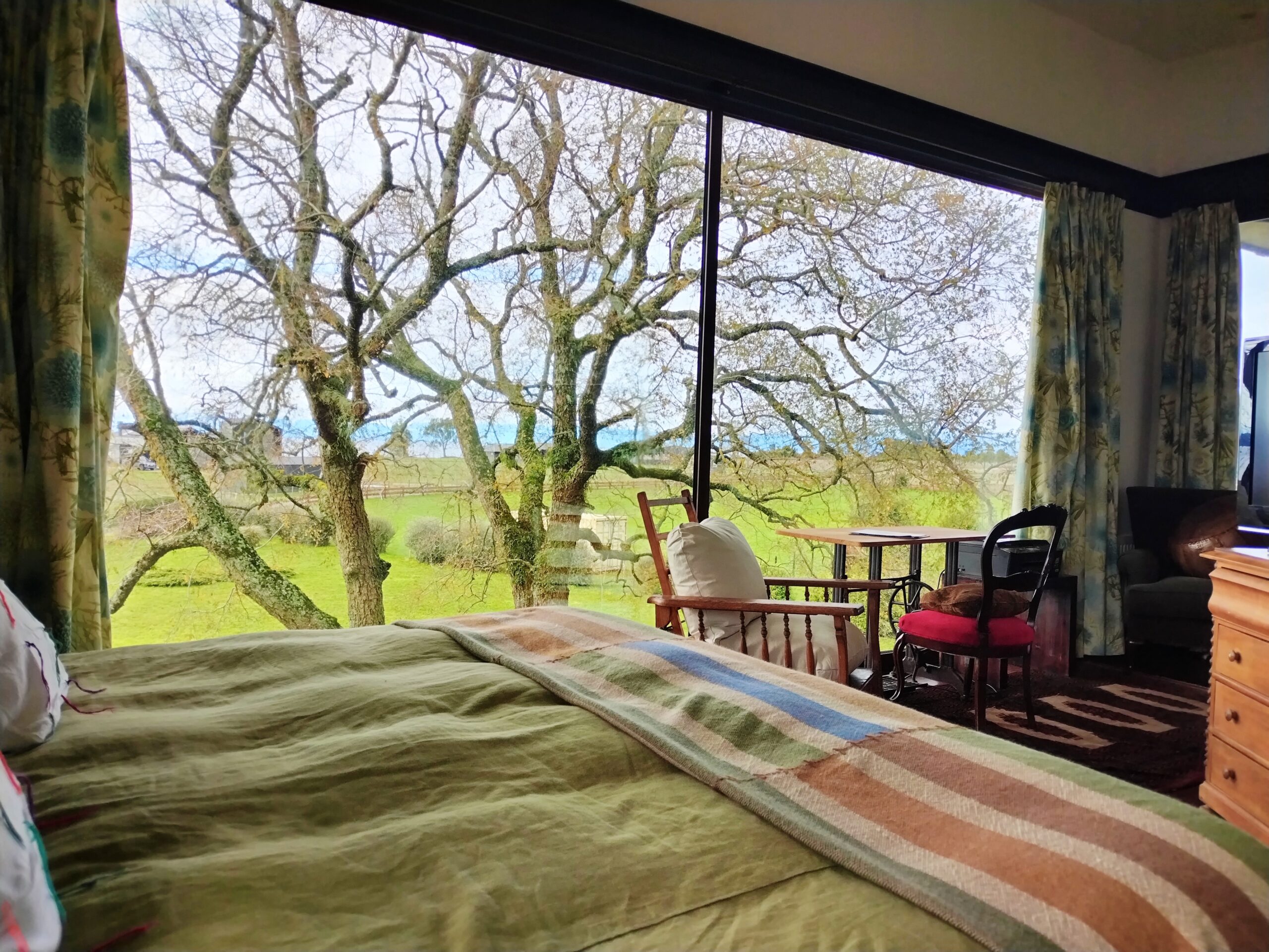 IMG_20240706_125743_edit_262702367826036