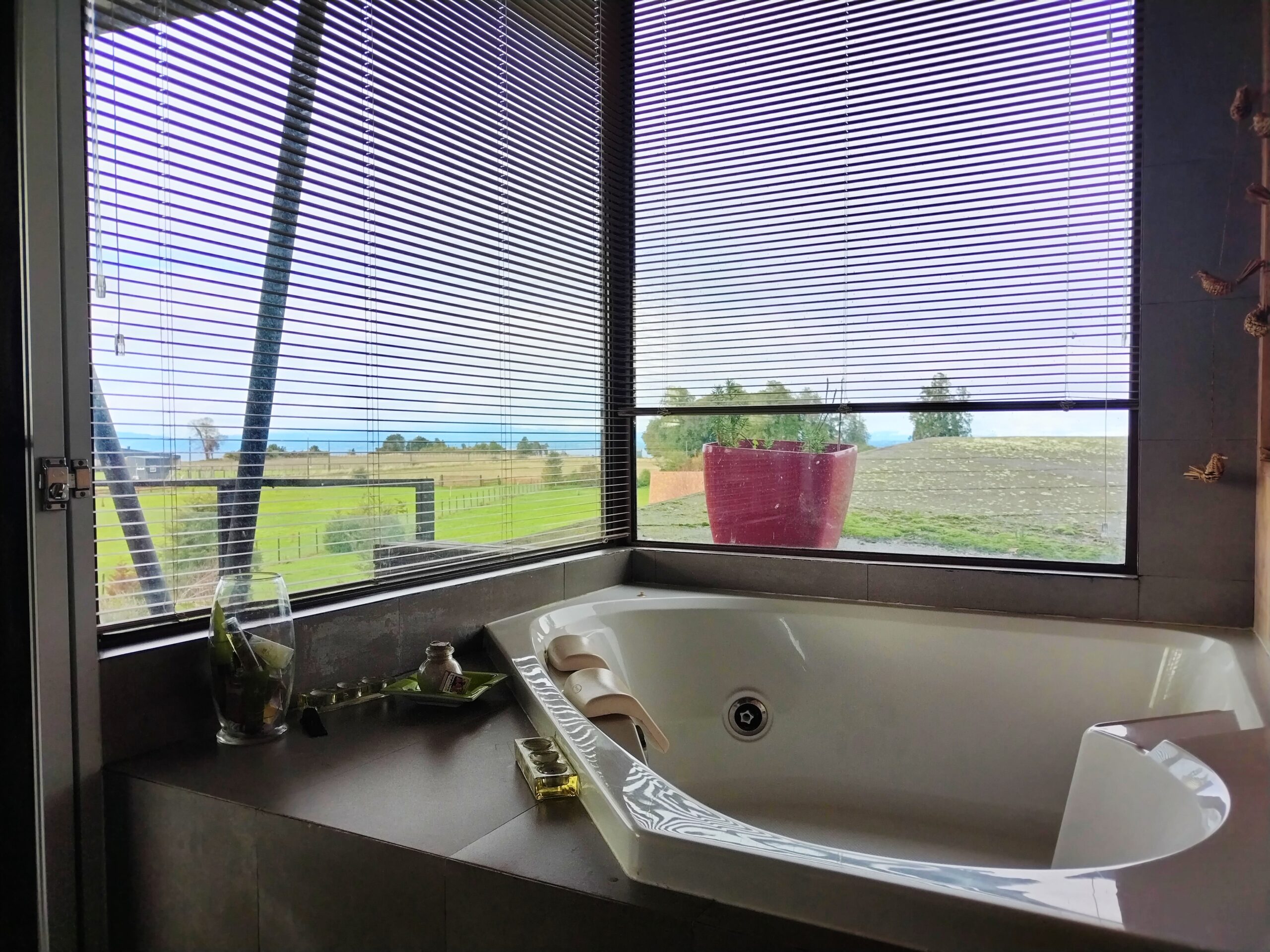 IMG_20240706_125926_edit_262766718765334 (1)