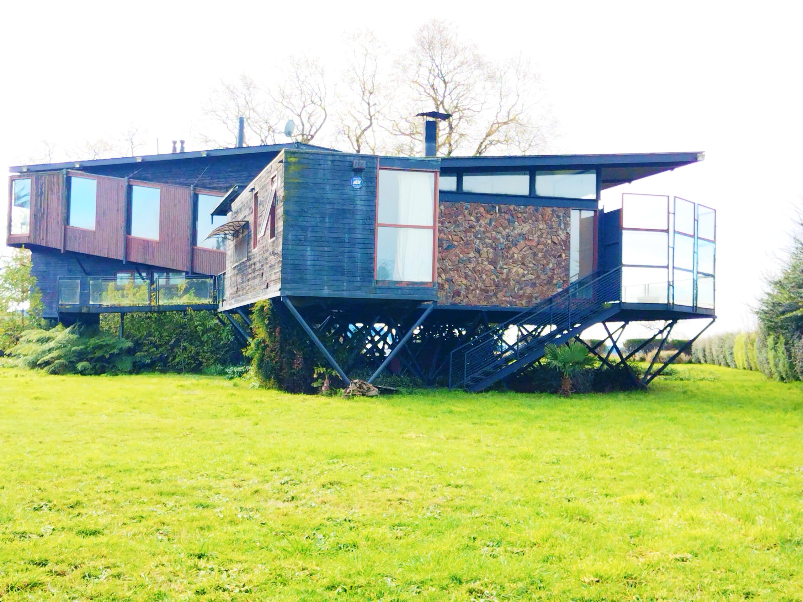 IMG_20240706_131935_edit_504871952314279 (3)