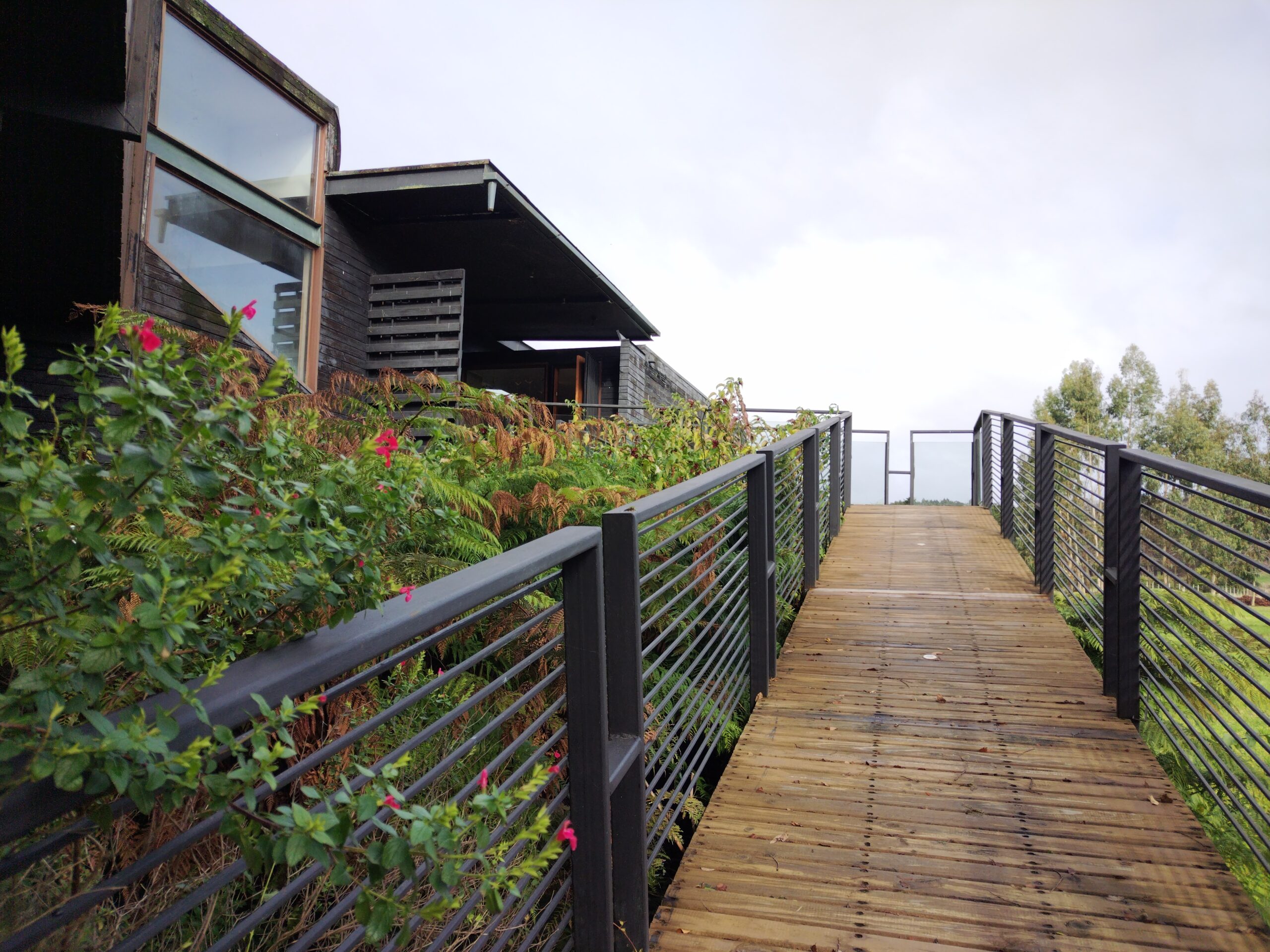 IMG_20240706_132057 (1)