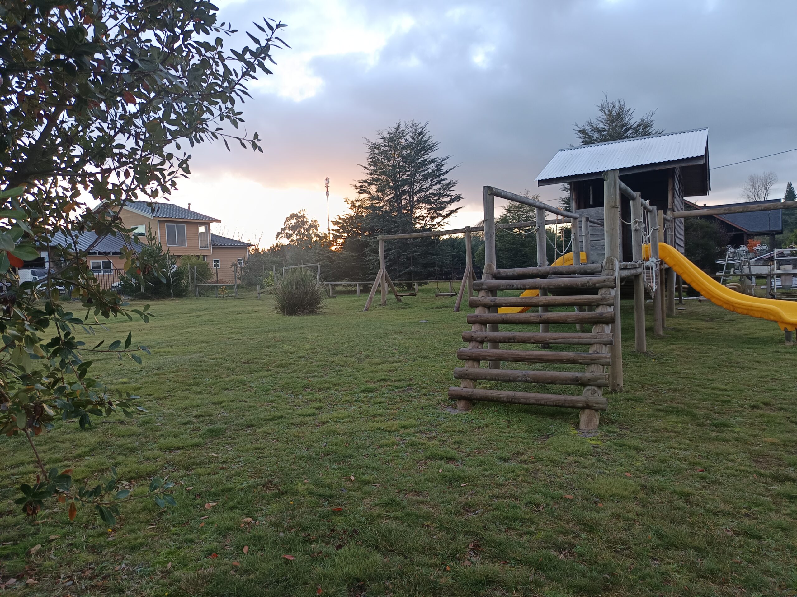 IMG_20250527_171234 (1)