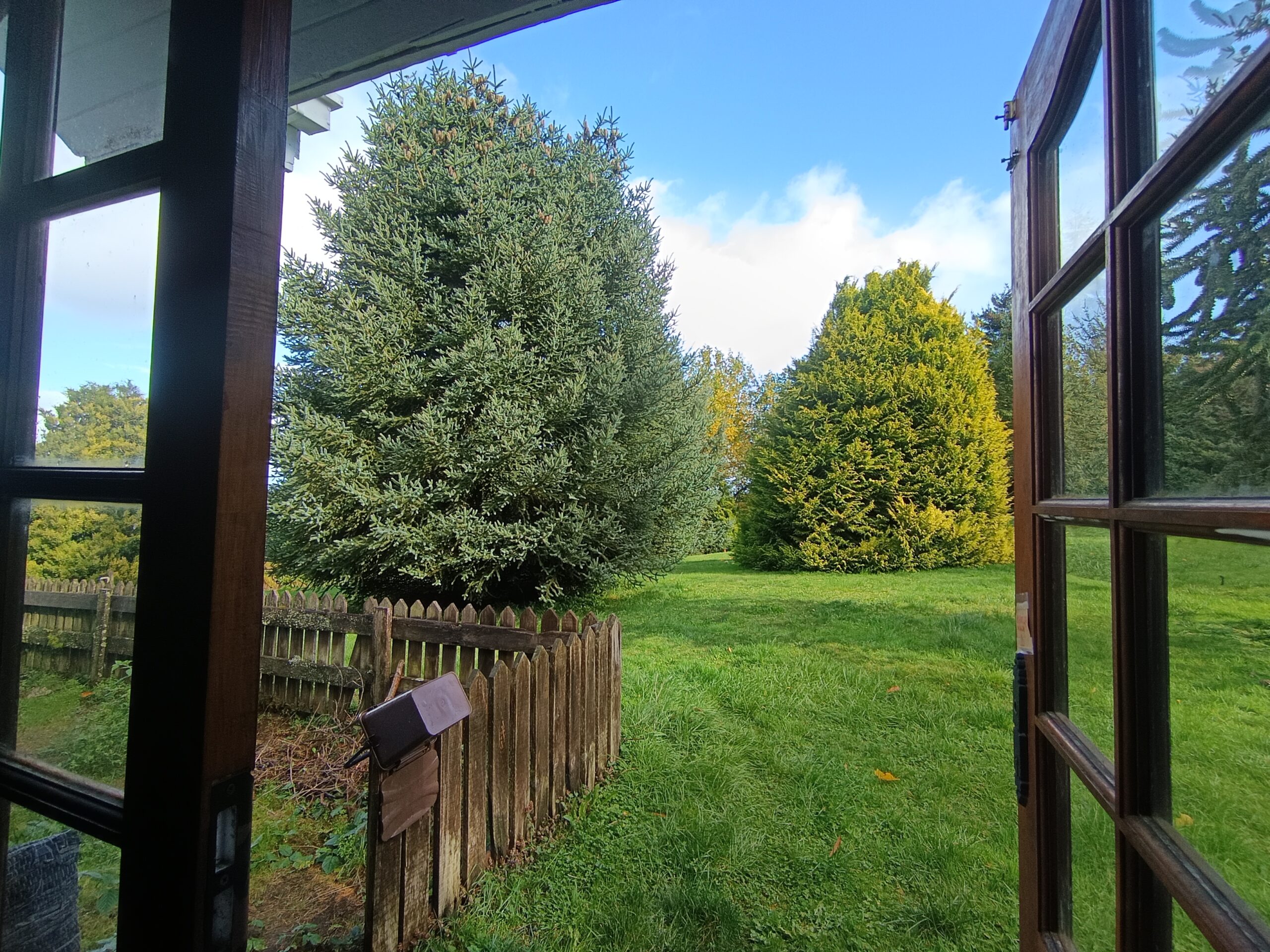 IMG_20250517_131109 (1)