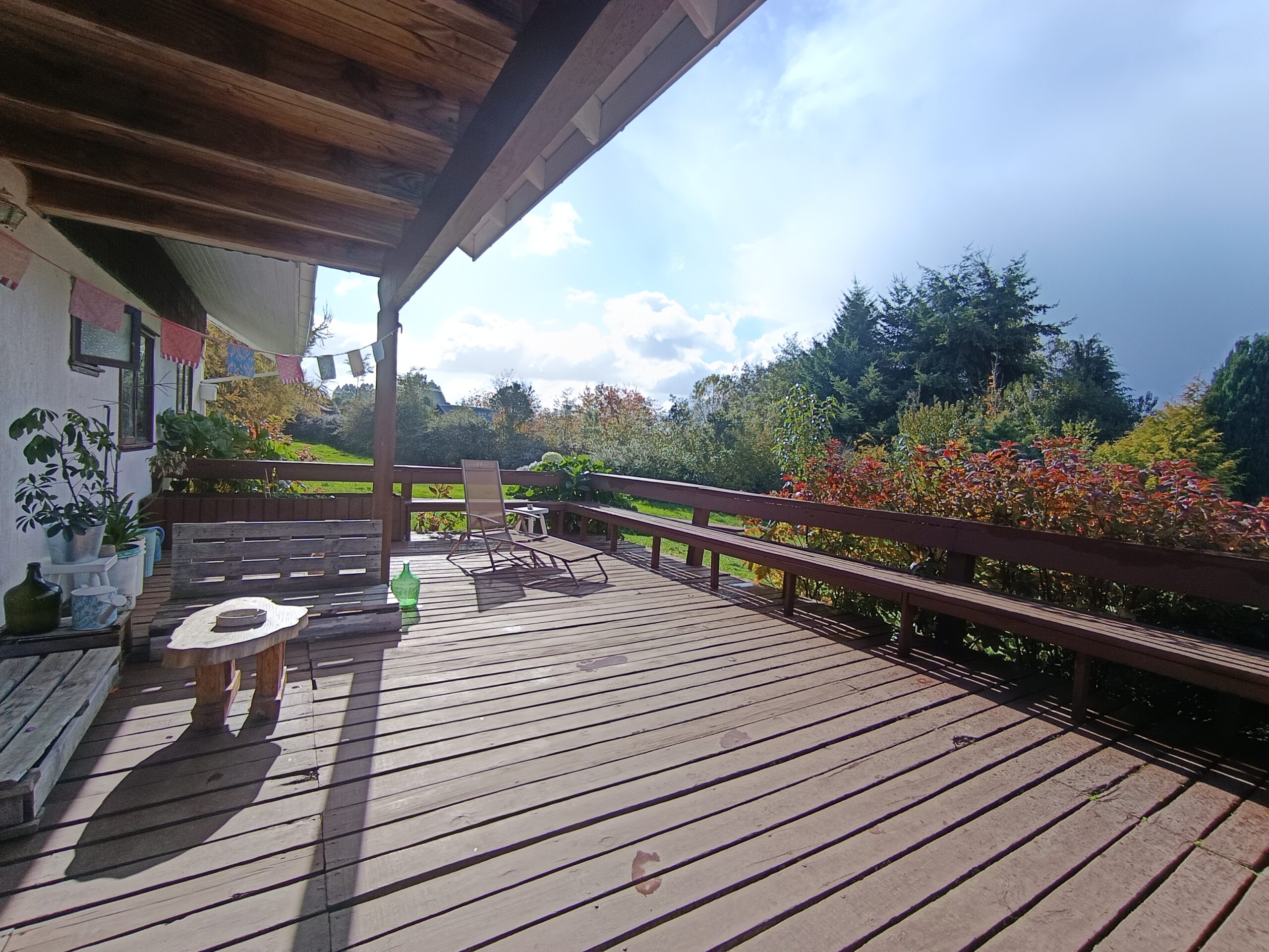 IMG_20250517_131419 (1)