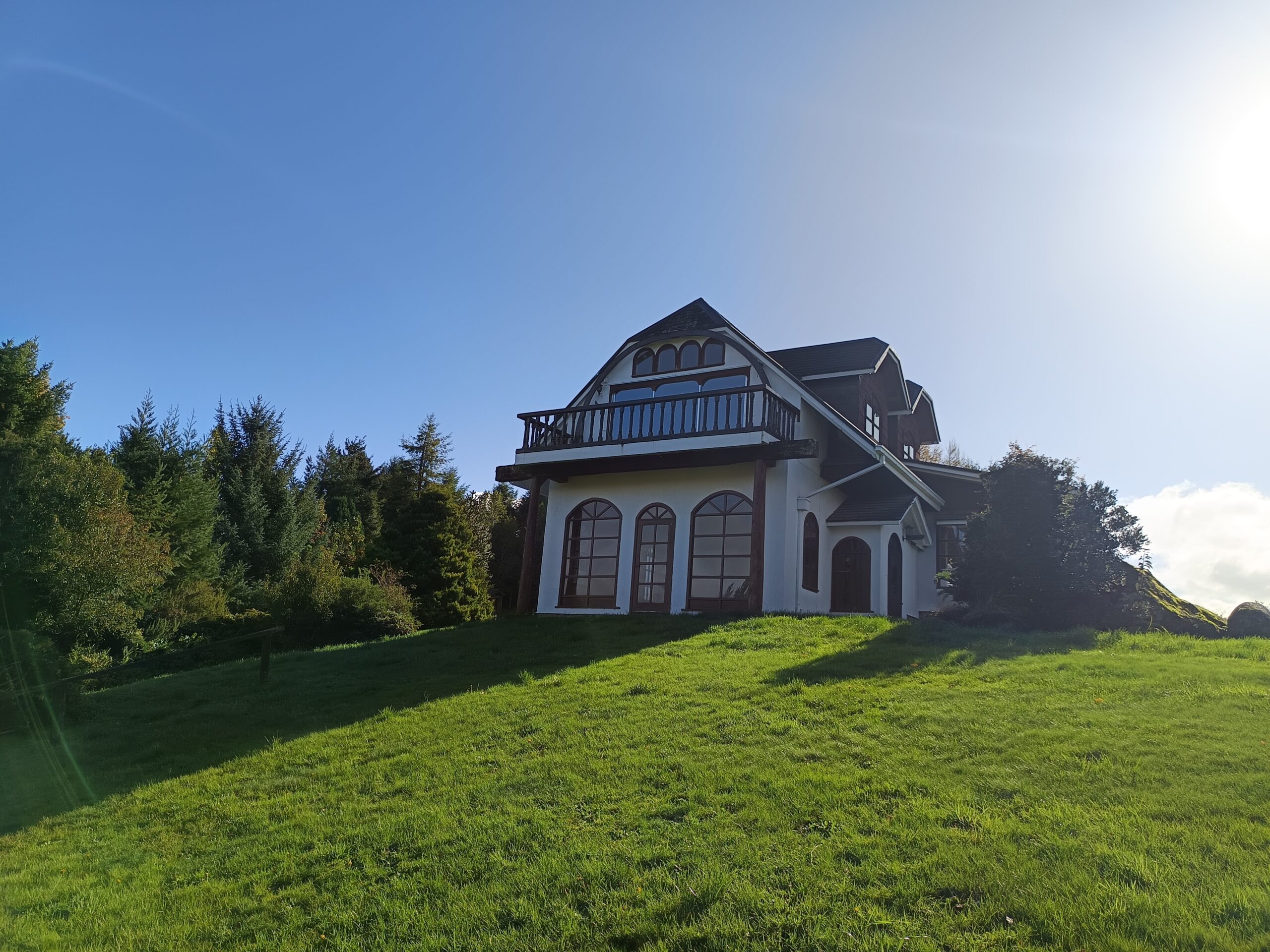 IMG_20250517_132119 (1)